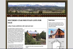 example of realestate website